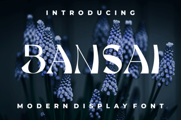 Bansai Font: Trendy Display Type for Crafters