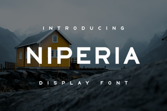 Niperia Font Review: A Unique Display Typeface for Branding