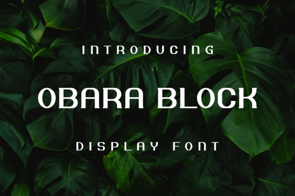Obara Block Font: Bold Display Type for Campaigns