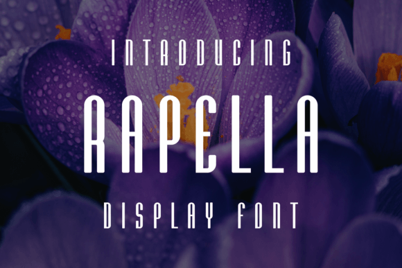 Rapella Font Review: Elevating Digital Campaign Visuals