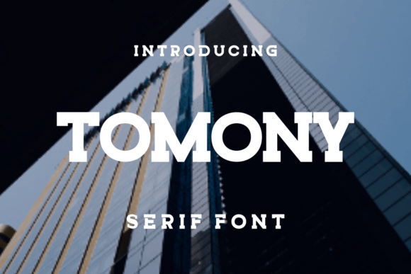 Tomony Font: Modern Display Typography for Web Design